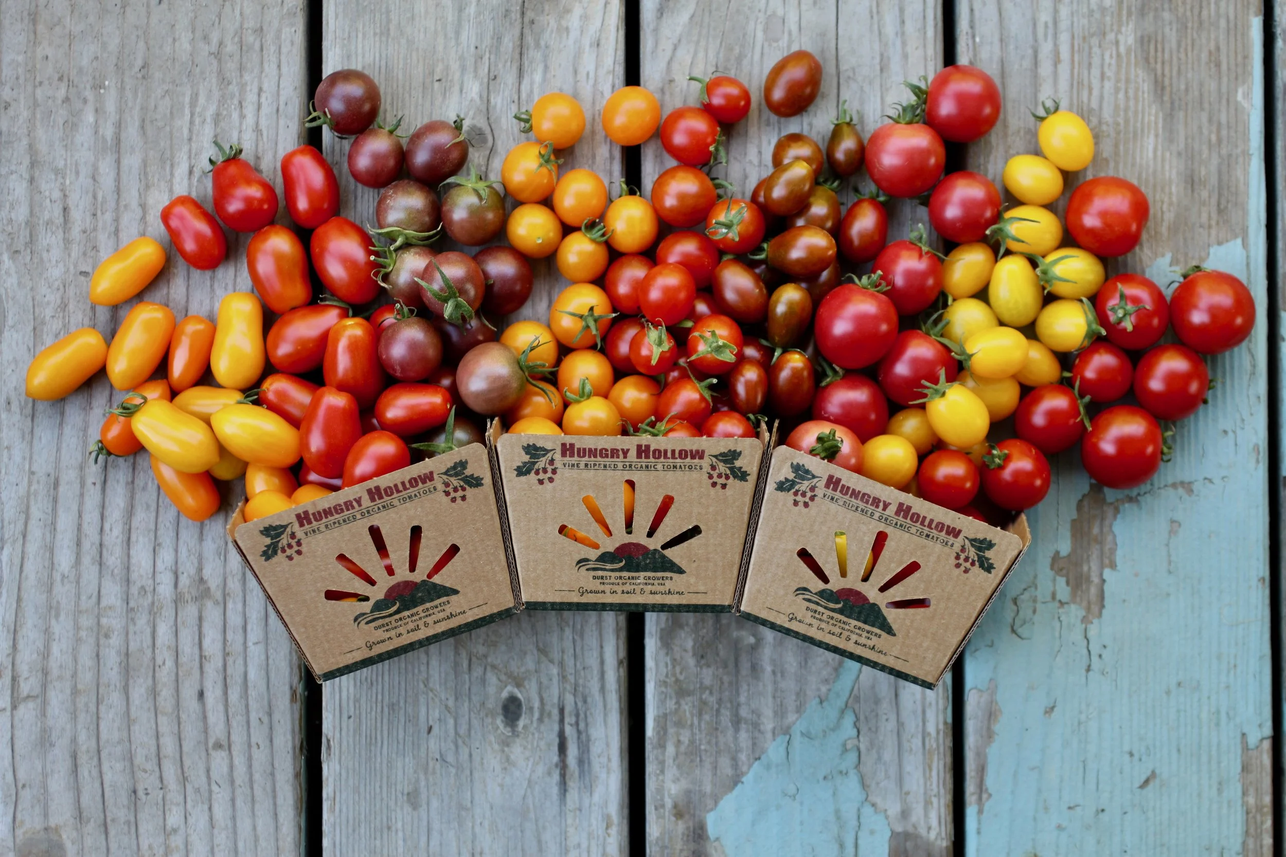 Cherry Tomatoes — Durst Organic Growers